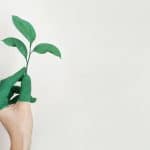 Pourquoi investir dans les énergies renouvelables ?