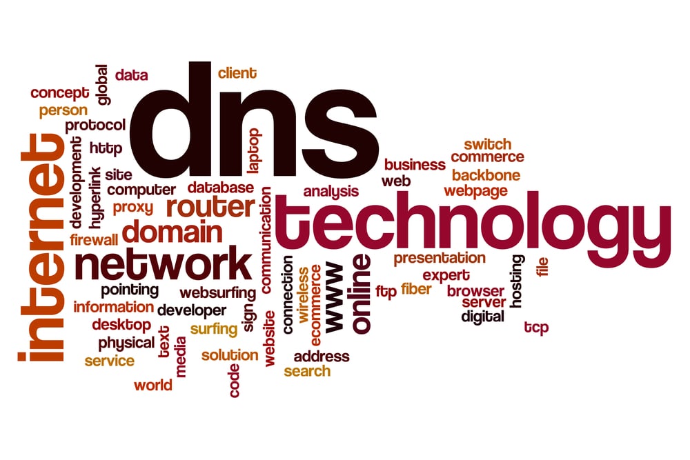 Quelle requête DNS dois-je entrer pour connaître les serveurs DNS ?